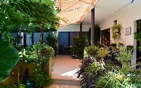 Rooms Vila Mautner